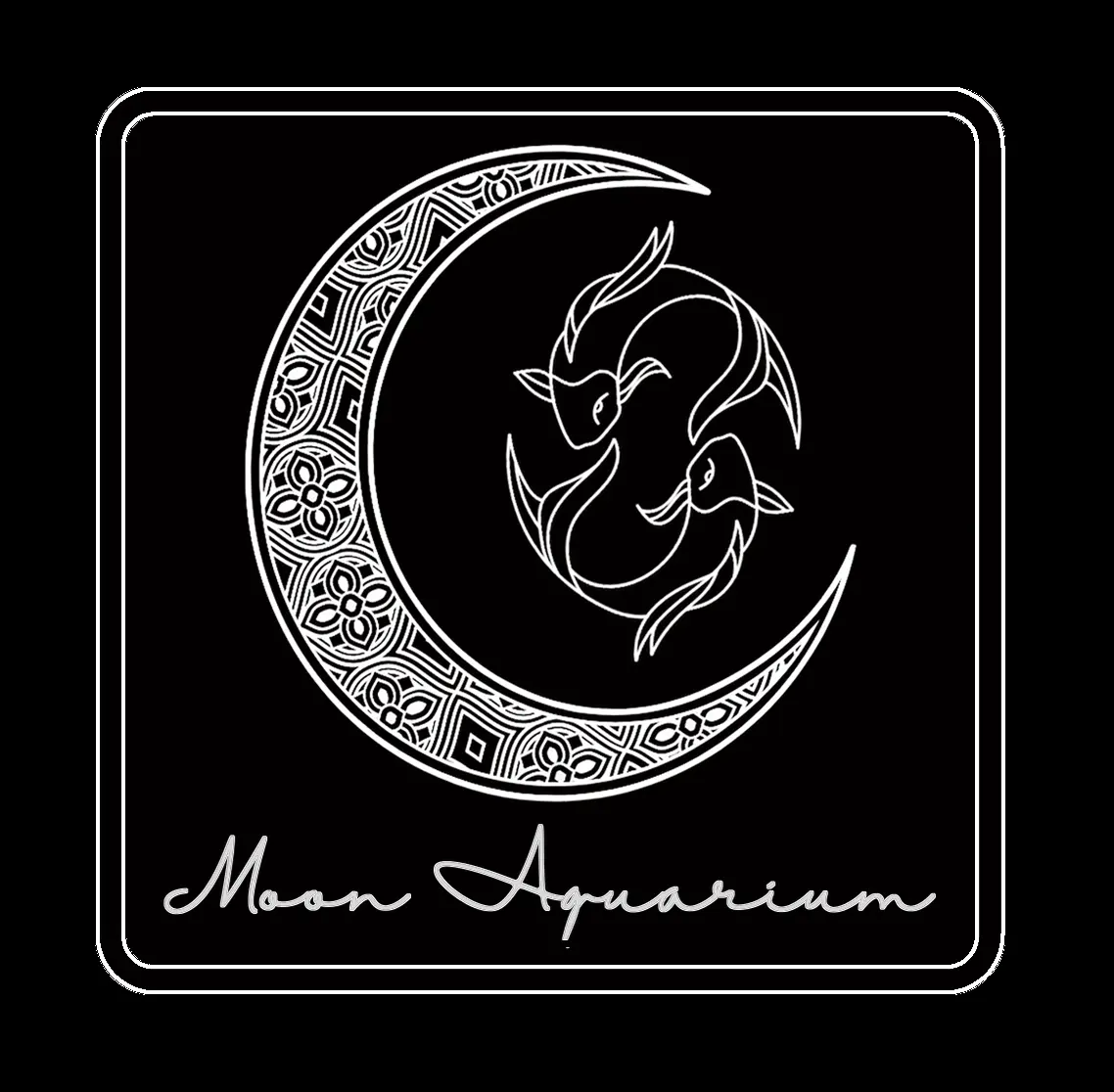 Moon Aquarium